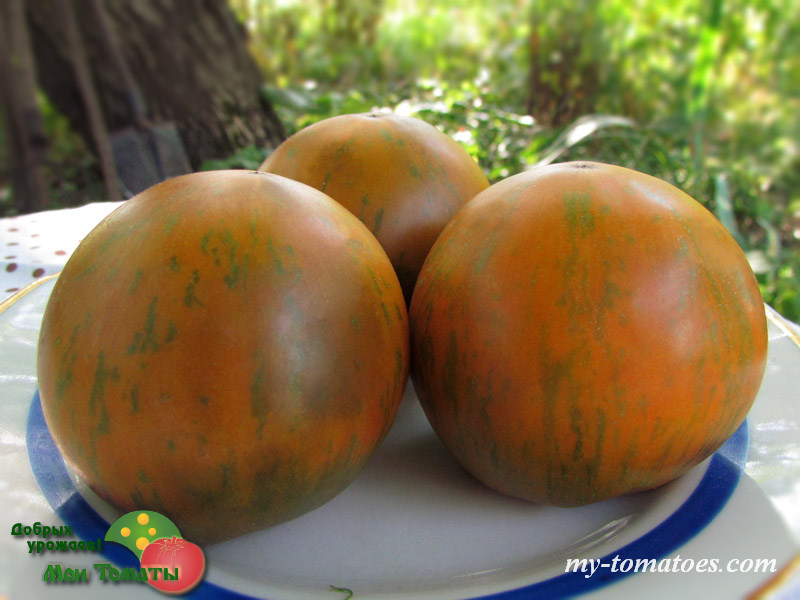 Фото 12. Семена лучших любительских и коллекционных сортов томата