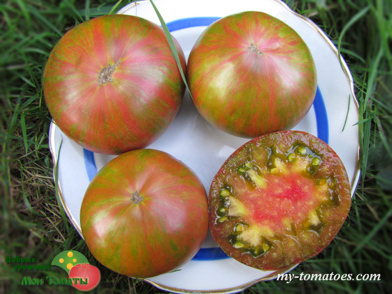 Фото 15. Семена лучших любительских и коллекционных сортов томата