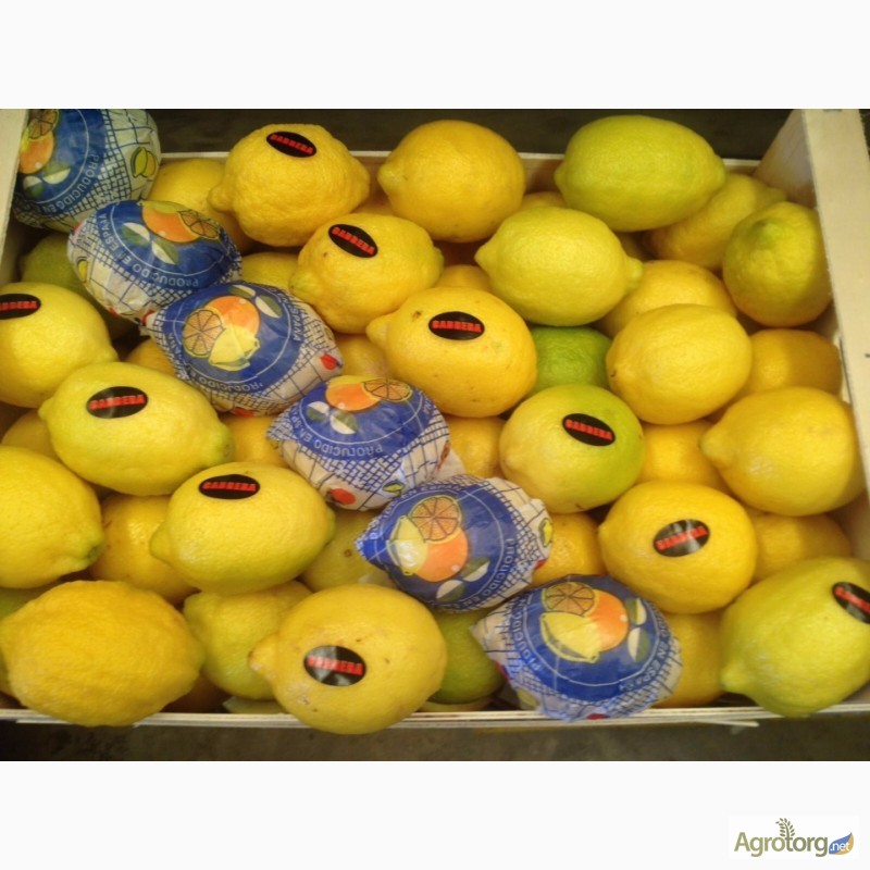 Фото 2. Продаем лимоны