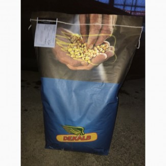 Семена кукурузы Монсанто ДК 315 (Dekalb) ФАО 310