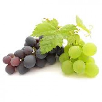 Куплю виноград по опт.ценам от производителя