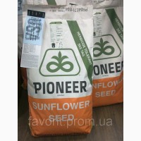 Семена подсолнечника «Пионер» П62ЛЕ122, (круизер)