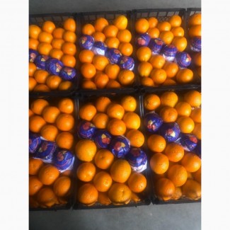 Апельсины оптом из Турции