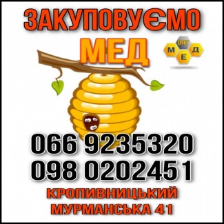 Купуємо МЕД в Кіровоградській обл. ОПТ-МЕД