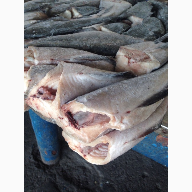 Фото 6. Оптовая продажа мороженной рыбы, морепродуктов и рыбной муки