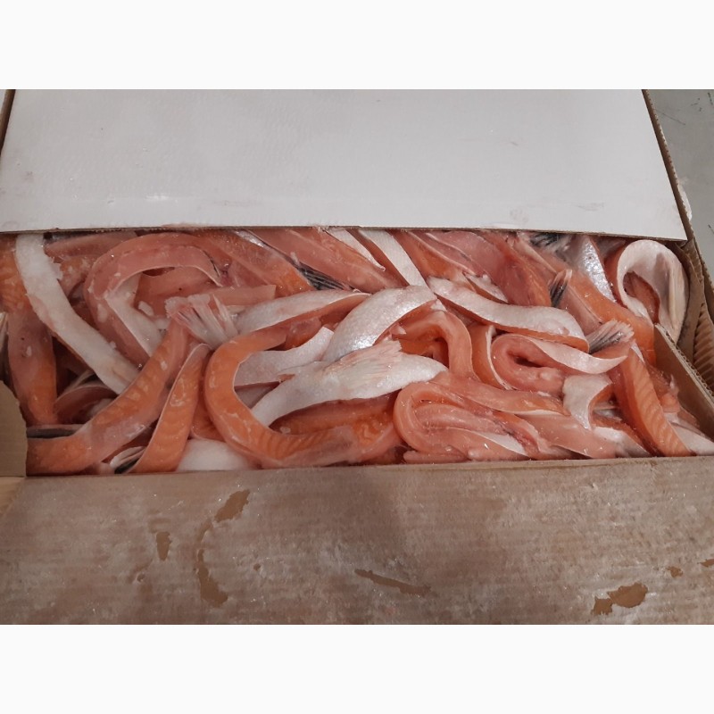 Фото 4. Оптовая продажа мороженной рыбы, морепродуктов и рыбной муки