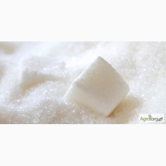 Продажа сахара оптом от производителя по цене от 7 грн/кг