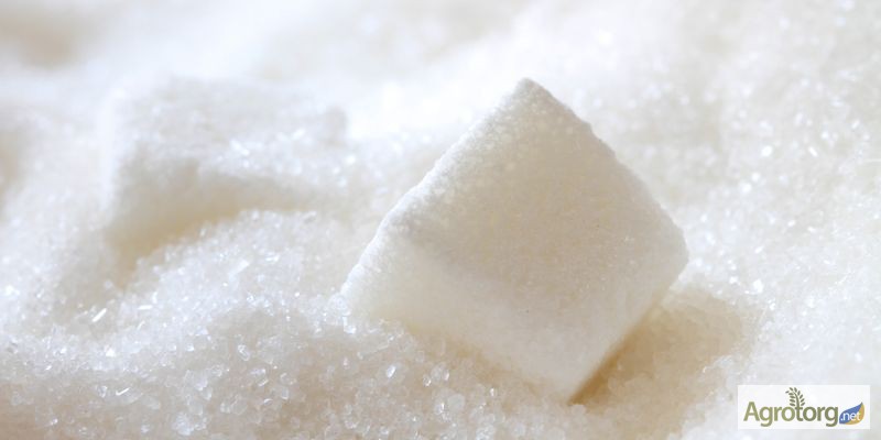 Продажа сахара оптом от производителя по цене от 7 грн/кг