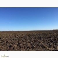 ООО «Еко-Агро» пропонує землі сільськогосподарського призначення