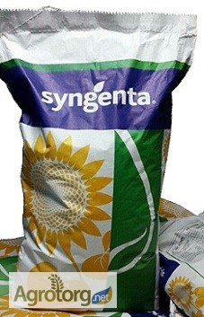 Фото 6. Семена кукурузы Monsanto ( Dekalb ) DKS-3472