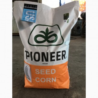 Семена кукурузы Пионер ПР39Б76 ФАО 280 (Pioneer PR39B76)