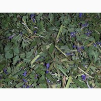 Кипрей иван-чай (лист, стебель, цвет) 50 грамм
