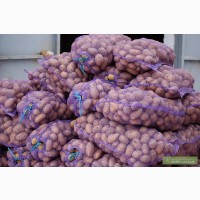 Продам картошку сорт бела роса славянка ривьера калибр 5