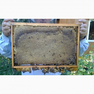 Бджолопакети, бджолосімї