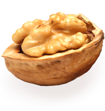 Фото 4. Грецкий орех все фракции | buy peeled walnut of all fractions