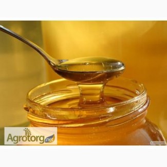 Продаж меду оптом і в роздріб