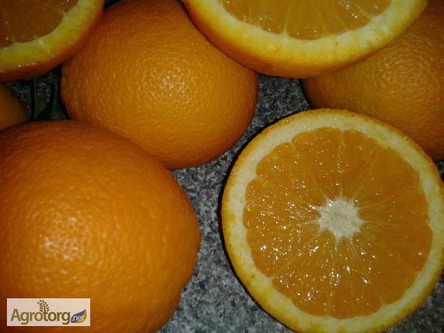 Фото 2. Апельсины Марокко: MAROC LATE-очень СЛАДКИЕ