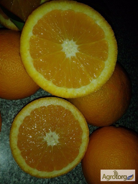 Фото 4. Апельсины Марокко: MAROC LATE-очень СЛАДКИЕ
