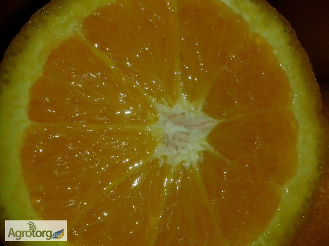 Фото 6. Апельсины Марокко: MAROC LATE-очень СЛАДКИЕ