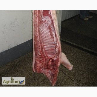 Мясо свинины 1 категории на кости охлажденное в полутушах