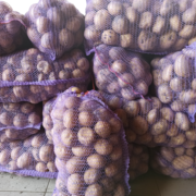 Фото 7. Продам оптом товарну картоплю сорту Арізона від виробника
