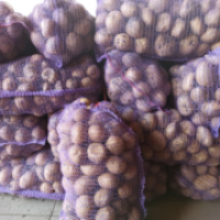 Продам оптом товарну картоплю сорту Арізона від виробника