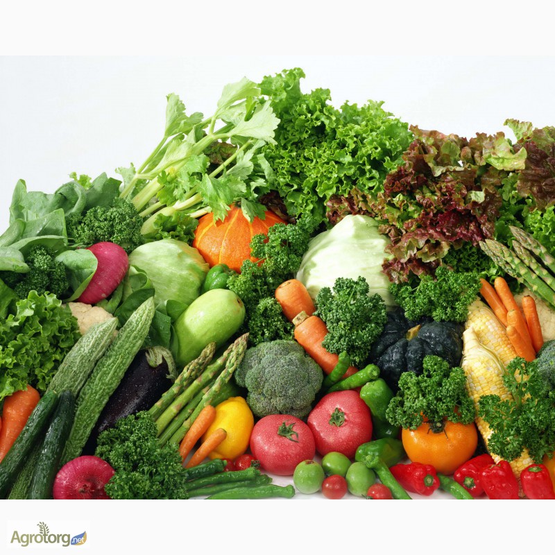 Фото 2. Предлагаю крупным оптовикам семена овощей и зелени от производит