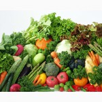 Предлагаю крупным оптовикам семена овощей и зелени от производит