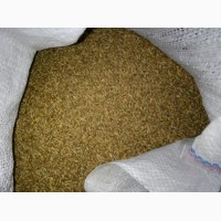 Канадская трансгенная пшеница толедо/toledo. Семина