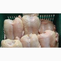 Продаём тушку курица бройлер 1 категории (1.8-2.2 кг)