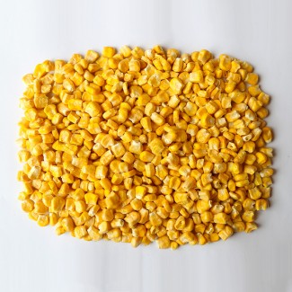 High Purity Natural Bulk Pure Yellow Fresh Vegetable FD Corn