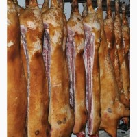 Мясо Свинина Туши-полутуши домашнее мясо