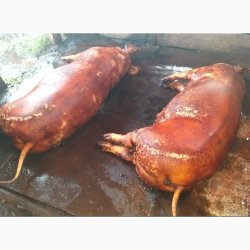 Фото 2. Мясо Свинина Туши-полутуши домашнее мясо