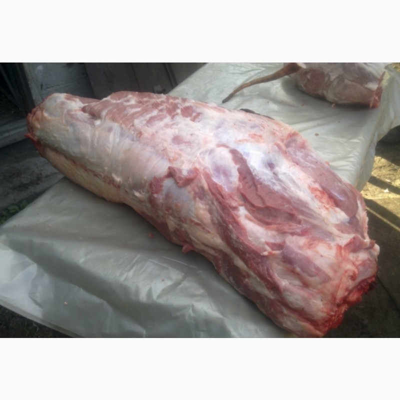 Фото 3. Мясо Свинина Туши-полутуши домашнее мясо