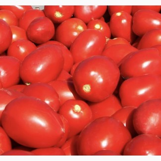 Продам помідори сливка з Миколаєва, знаходимось у місті Львів