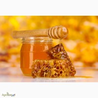 Компания ООО ТОВ БИО ЛЕНД закупает органический Мёд