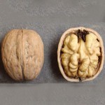 Саженцы грецкого ореха