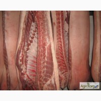 Мясо свинины 2 категории на кости охлажденное в полутушах