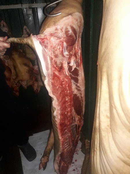Фото 3. Свинина в полутушках. на шкуре или обрезная
