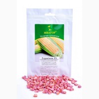Семена сладкой кукурузы Гермиона F 1, 100000, Мнагор, суперсладкая 23%