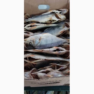 Продам речную вяленную и копченую рыбу в ассортименте (лещ, тарань, густера, окунь, судак