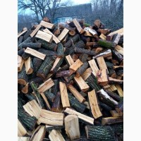 Продам дрова рубани(акации) 10 метров (1 метр 600 грн)