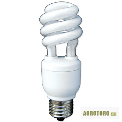 Фото 2. Лампы энергосберегающие по акционным ценам