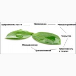 Адьювант Супер КАП продажа ПАВ для гербицидов, фунгицидов, инсектицидов