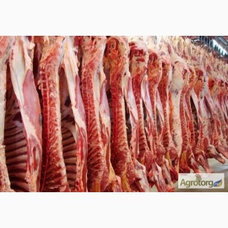 Мясо говядины из Украины на экспорт