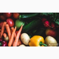 Овощи и фрукты оптом от производителя (редиска опт, картошка опт, огурцы опт и другое)