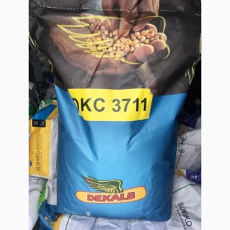 Семена кукурузы Монсанто ДКС 3711