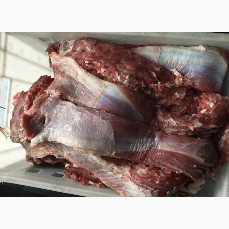 Фото 2. Мясо телятины, говядины и конины