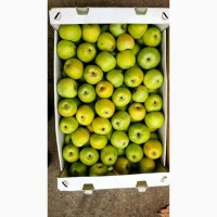 Продам Яблука Оптом за Кращою Ціною