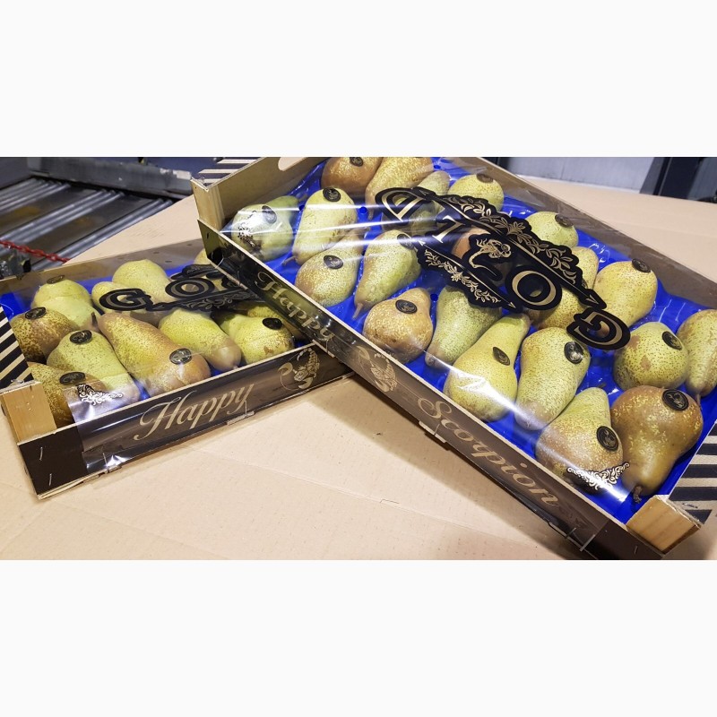 Фото 13. Продаем груши из Испании